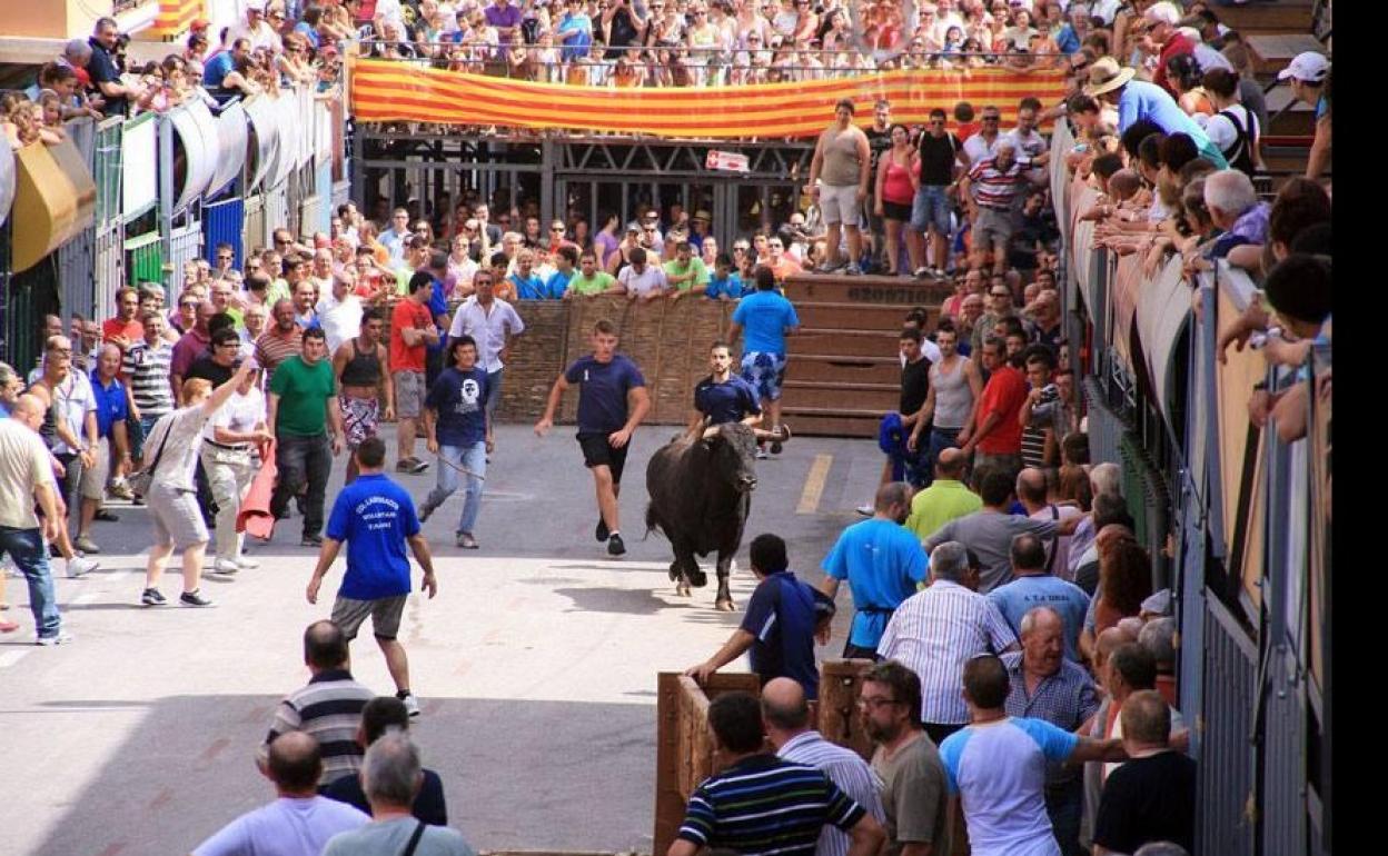 Imagen de archivo de los bous al carrer de Pedreguer. 