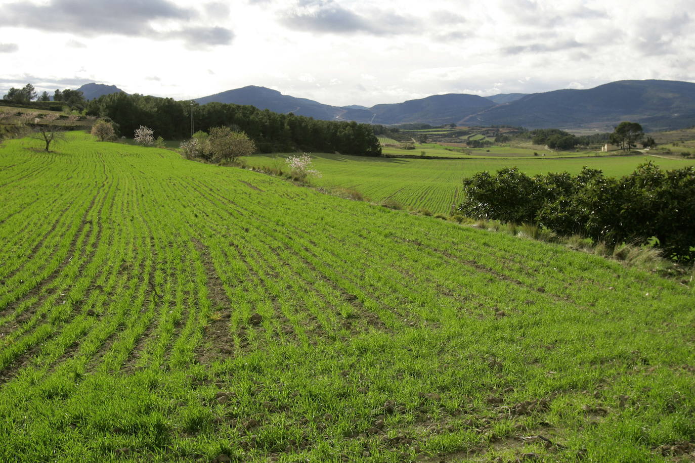 Fotos: La Toscana valenciana