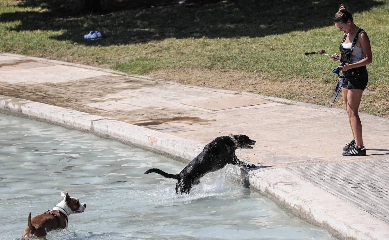 El tiempo hoy y mañana | Alerta amarilla por la ola de calor: las temperaturas rozarán hoy los 40º en Valencia y Alicante