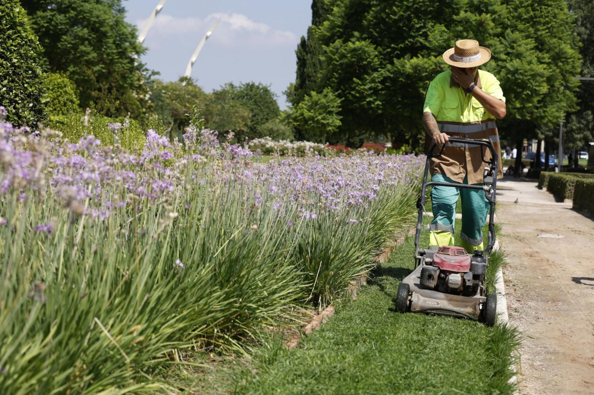 t Jardineros. Un obrero se seca el sudor mientras trabaja en el mantenimiento de los jardines de la ciudad. 