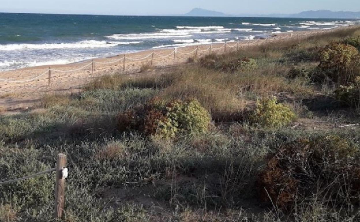 Zona de dunas en Tavernes. 