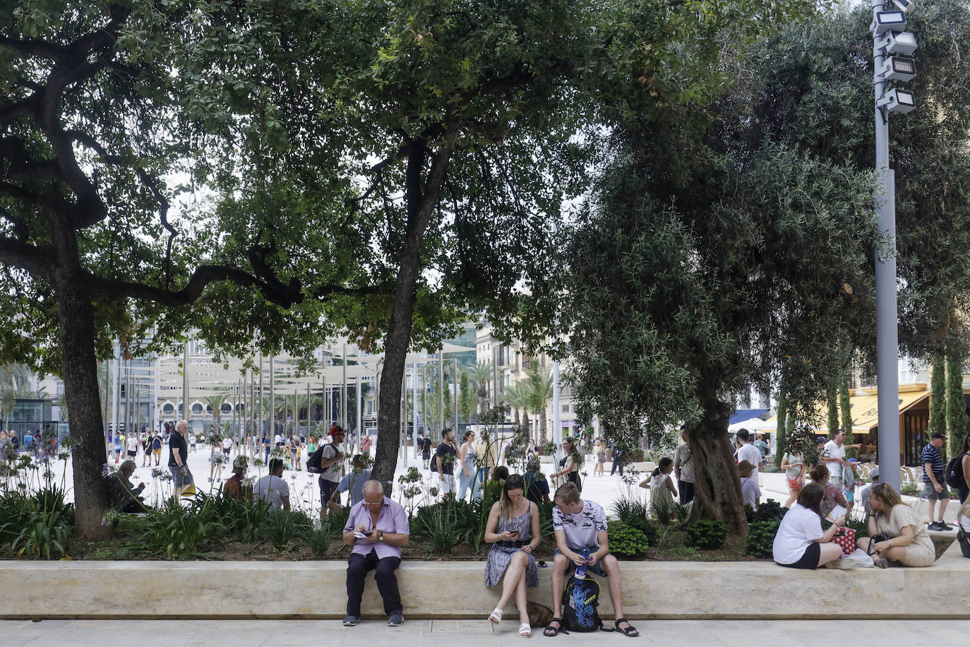 Fotos: Primer día de la Plaza de la Reina de Valencia con público tras la reforma