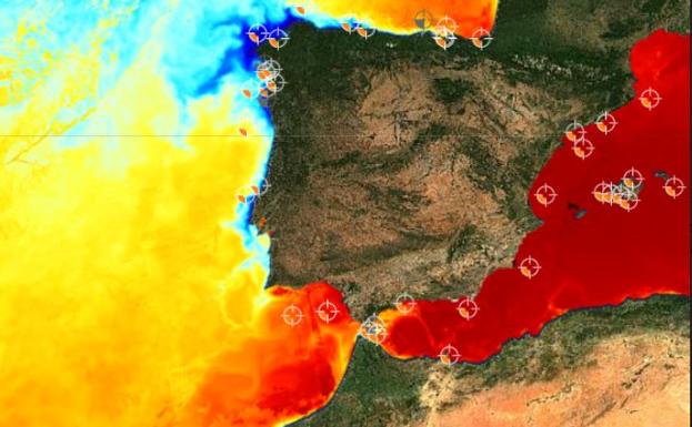 Temperatura del agua récord en el Mediterráneo