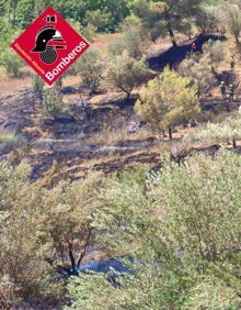 Imagen secundaria 2 - Así han sido las tareas de extinción del incendio de este domingo en Muro d'Alcoi. 