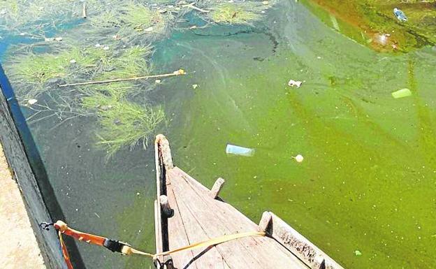 La basura termina en el agua junto a las barcas. 