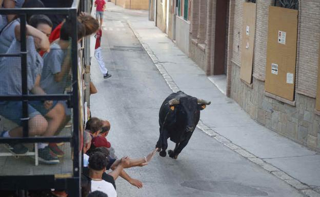 Dónde hay bous al carrer este fin de semana en la Comunitat Valenciana