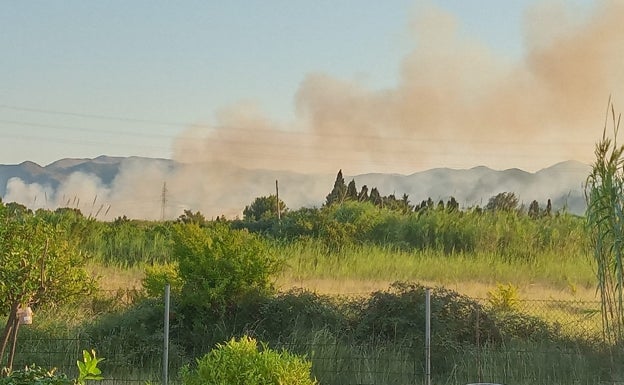 Imagen principal - Oliva: Medios aéreos y terrestres trabajan sobre el terreno | Los bomberos luchan contra el fuego en un incendio declarado en Oliva
