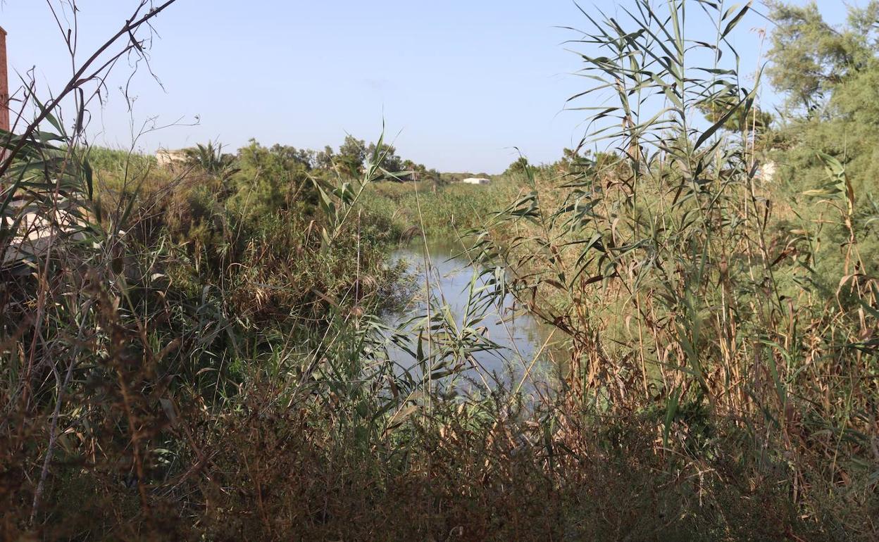 Estado actual del cauce viejo del río Segura.  