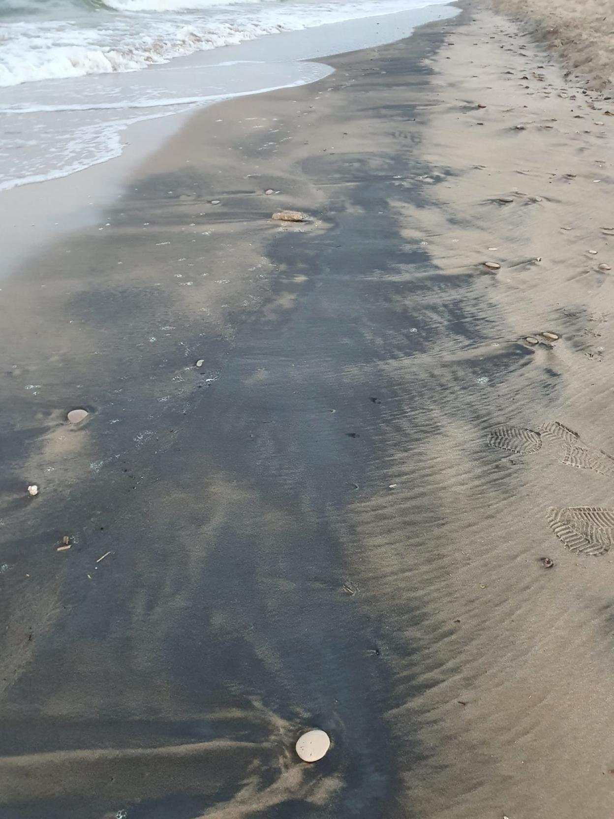 Manchas en la orilla de la playa. aa. vv. dehesa el saler
