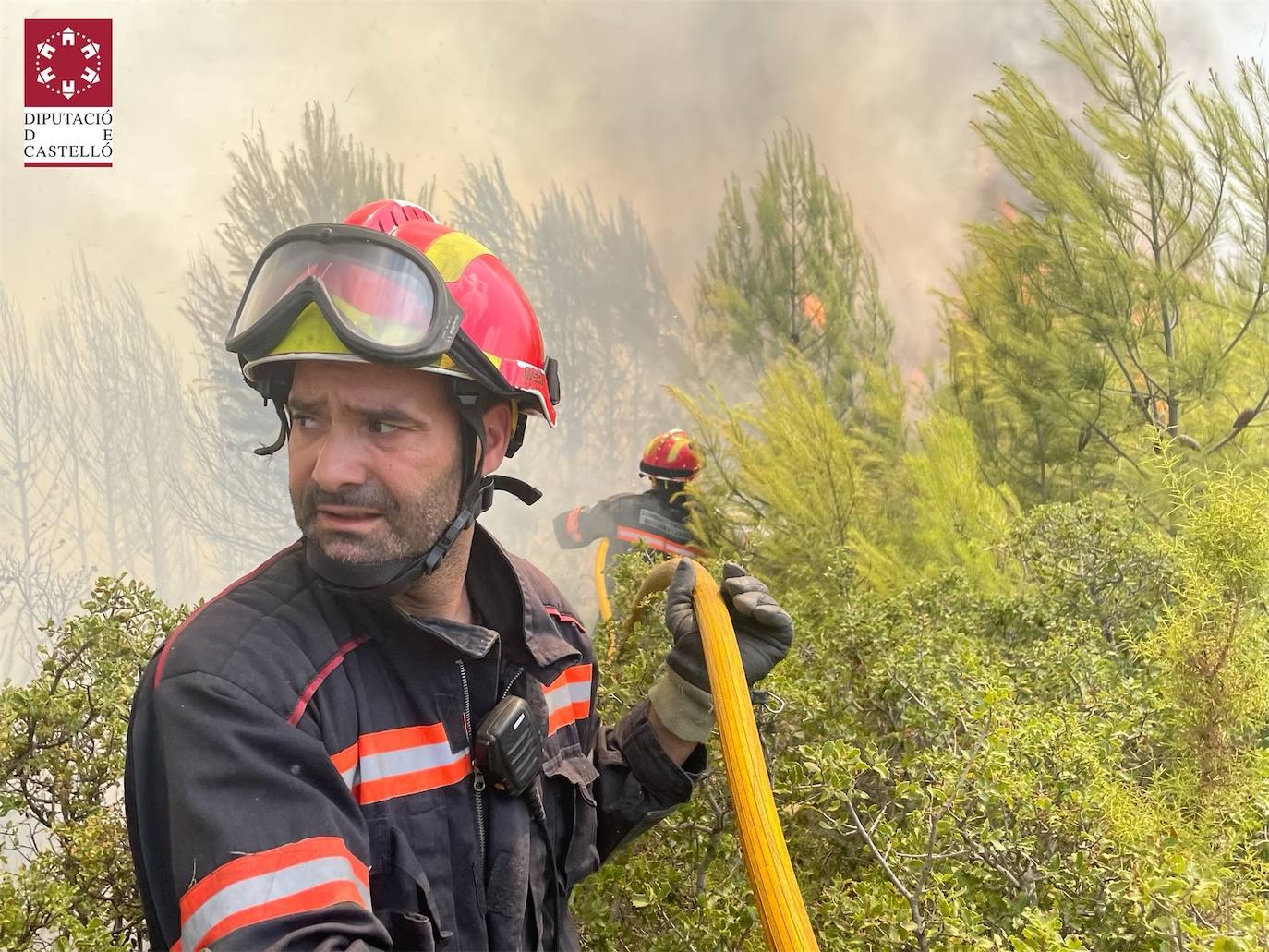 Fotos: Declarado un incendio forestal en Useres