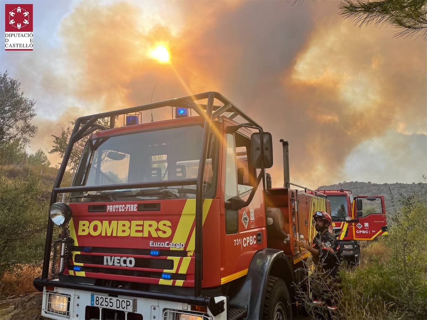 Fotos: Declarado un incendio forestal en Useres