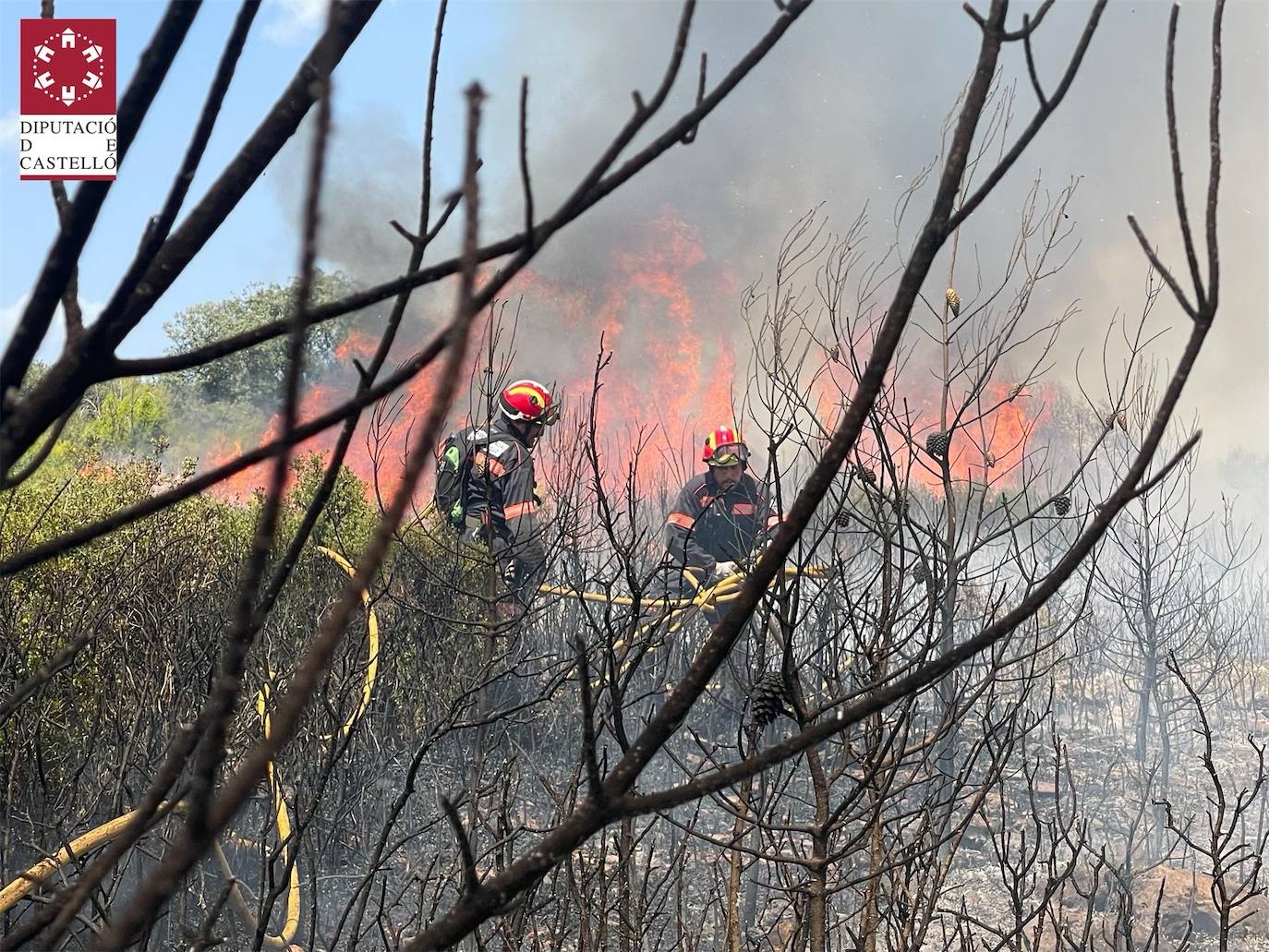 Fotos: Declarado un incendio forestal en Useres