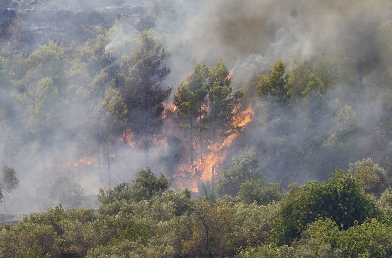 Fotos: Incendio en la Vall d&#039;Ebo