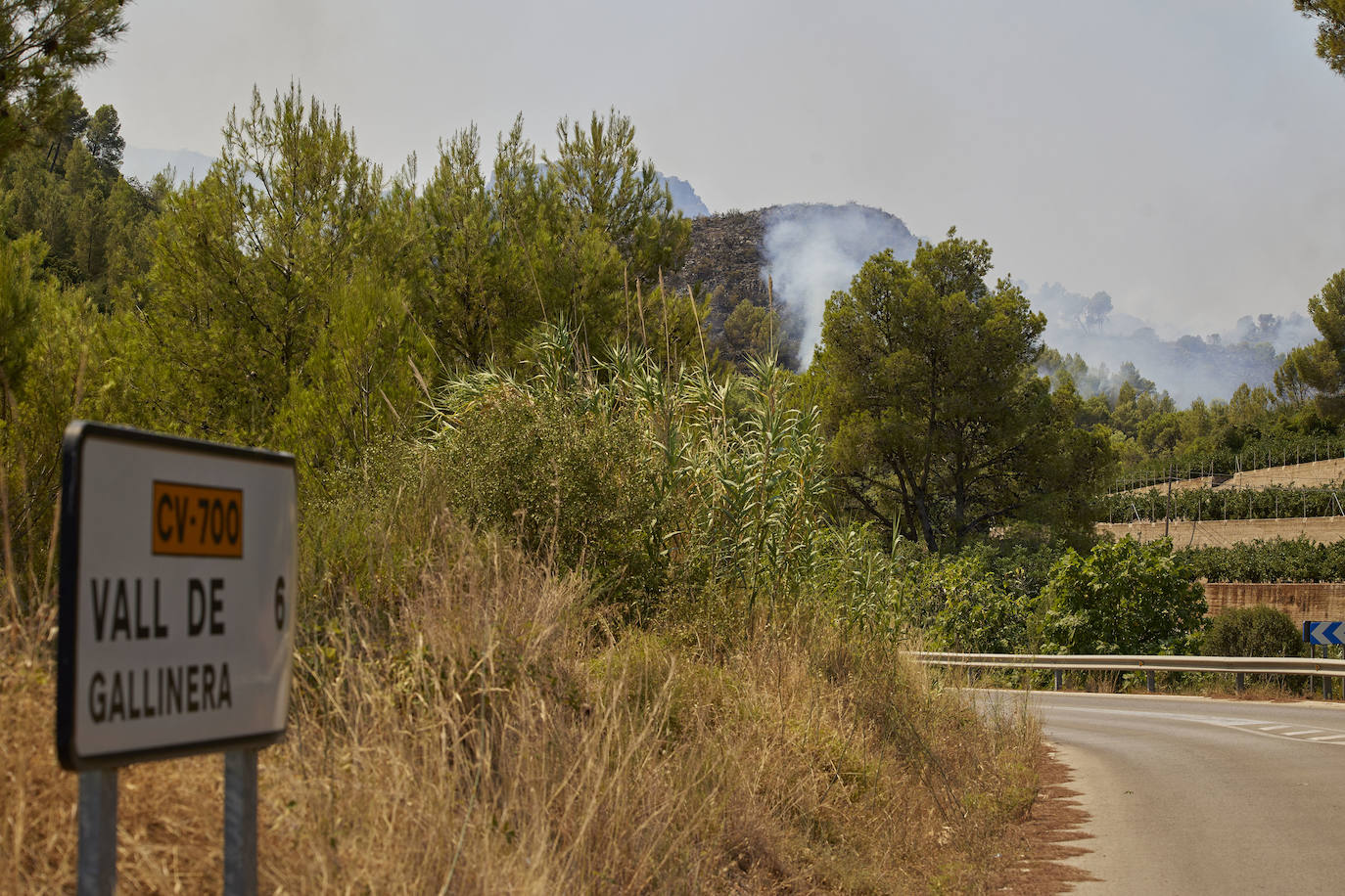 Fotos: Incendio en la Vall d&#039;Ebo