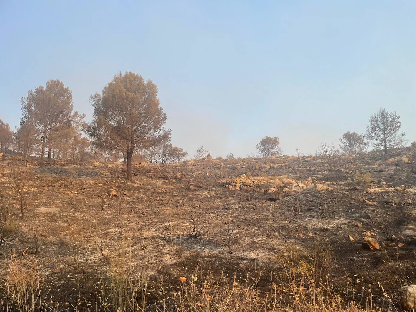 Terreno calcinado en un punto del Valle de Seta