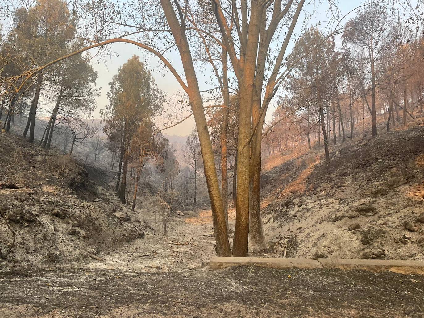 Terreno calcinado en un punto del Valle de Seta