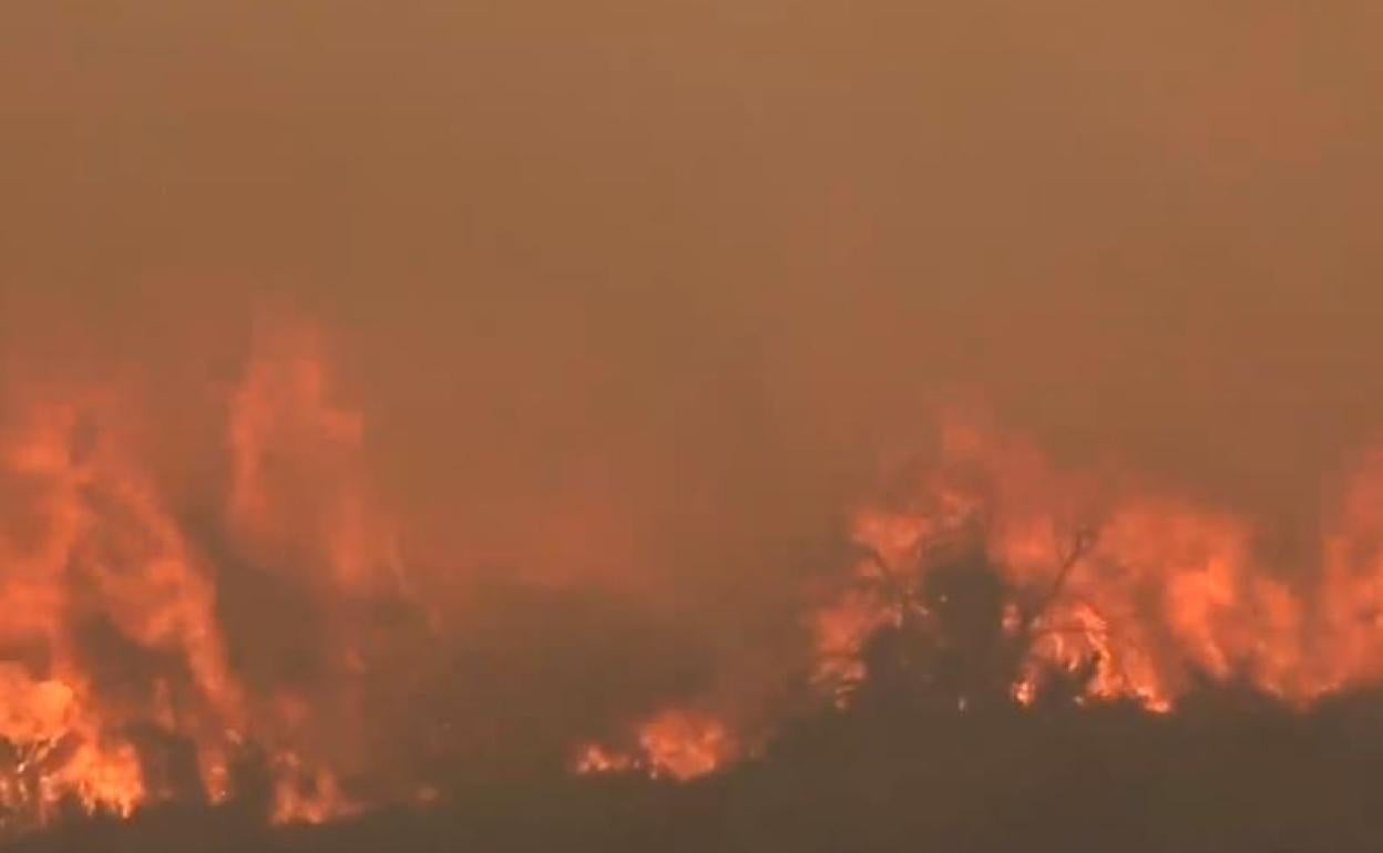 Incendios en Valencia y Castellón | Última hora del incendio de Olocau y Bejis, en directo:ataques directos al fuego en la zona de Andilla, en barrancos de difícil acceso