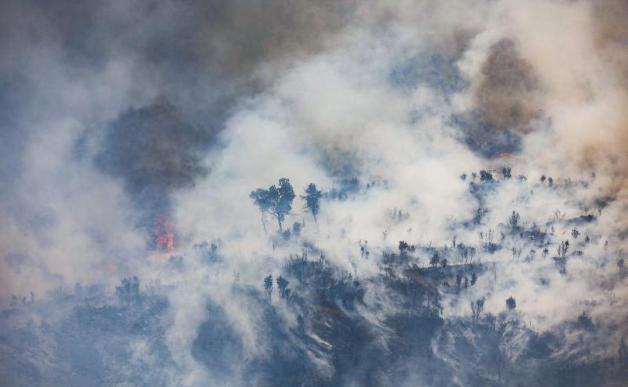 Humo y llamas en el monte valenciano. 