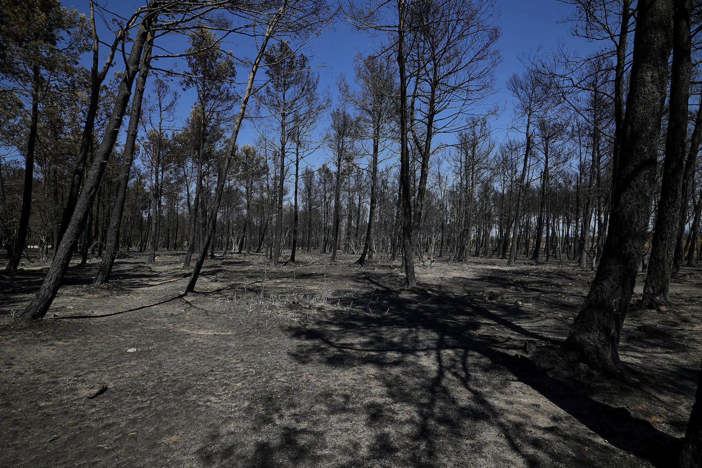 Fotos: Así se encuentra Bejís tras el paso del fuego