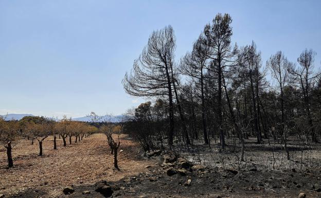 El día señalado para someter el incendio de Bejís