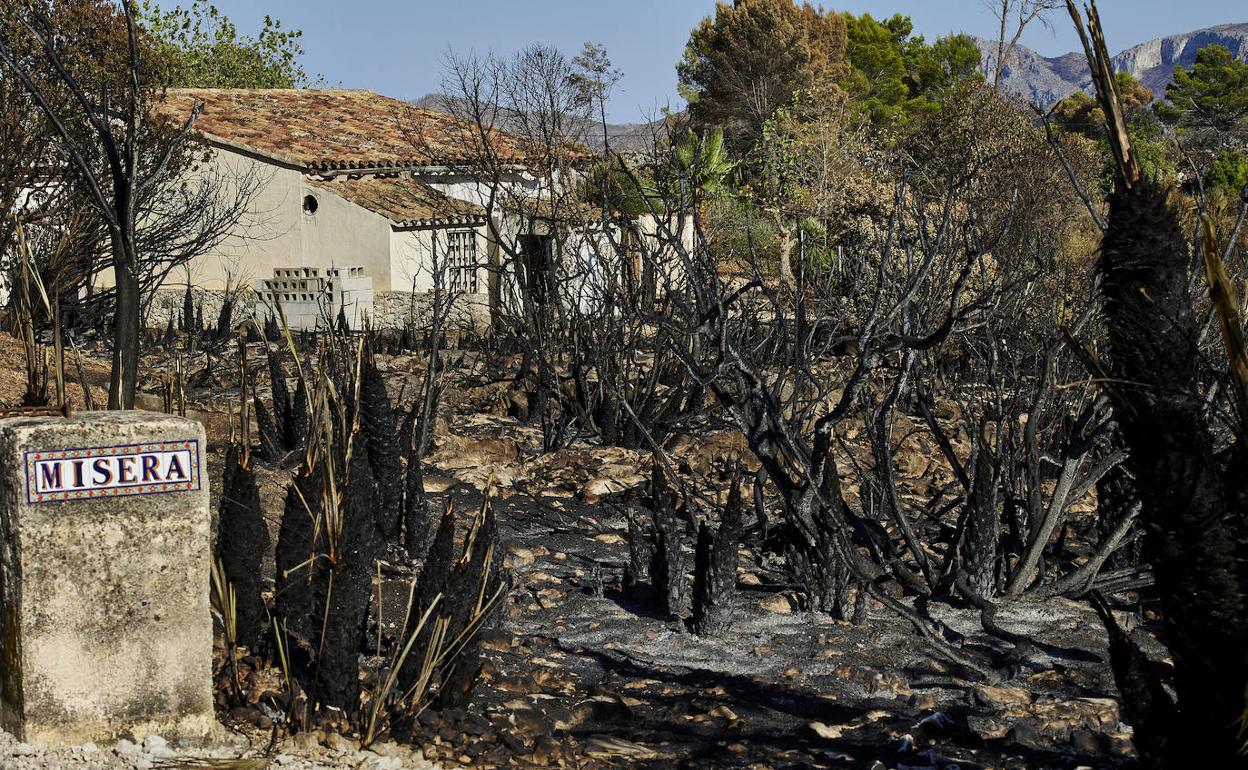 Una finca arrasada por las llamas del incendio de Vall d'Ebo. 