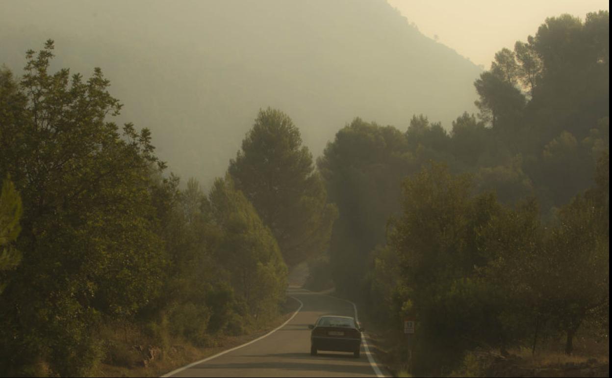 Parque Natural de la Sierra Calderona.