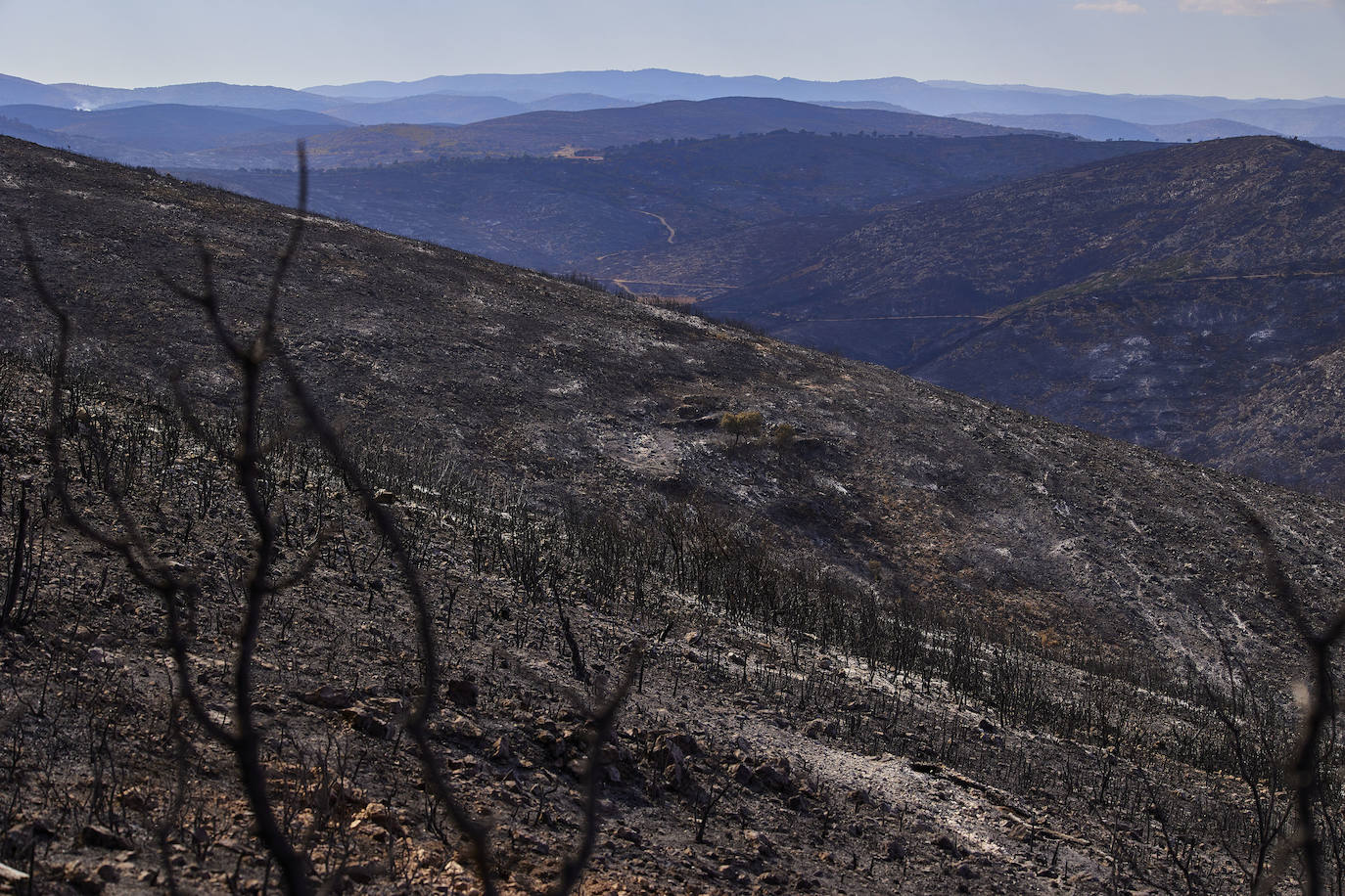 La reapertura de las carreteras permite regresar al santuario de Altura.