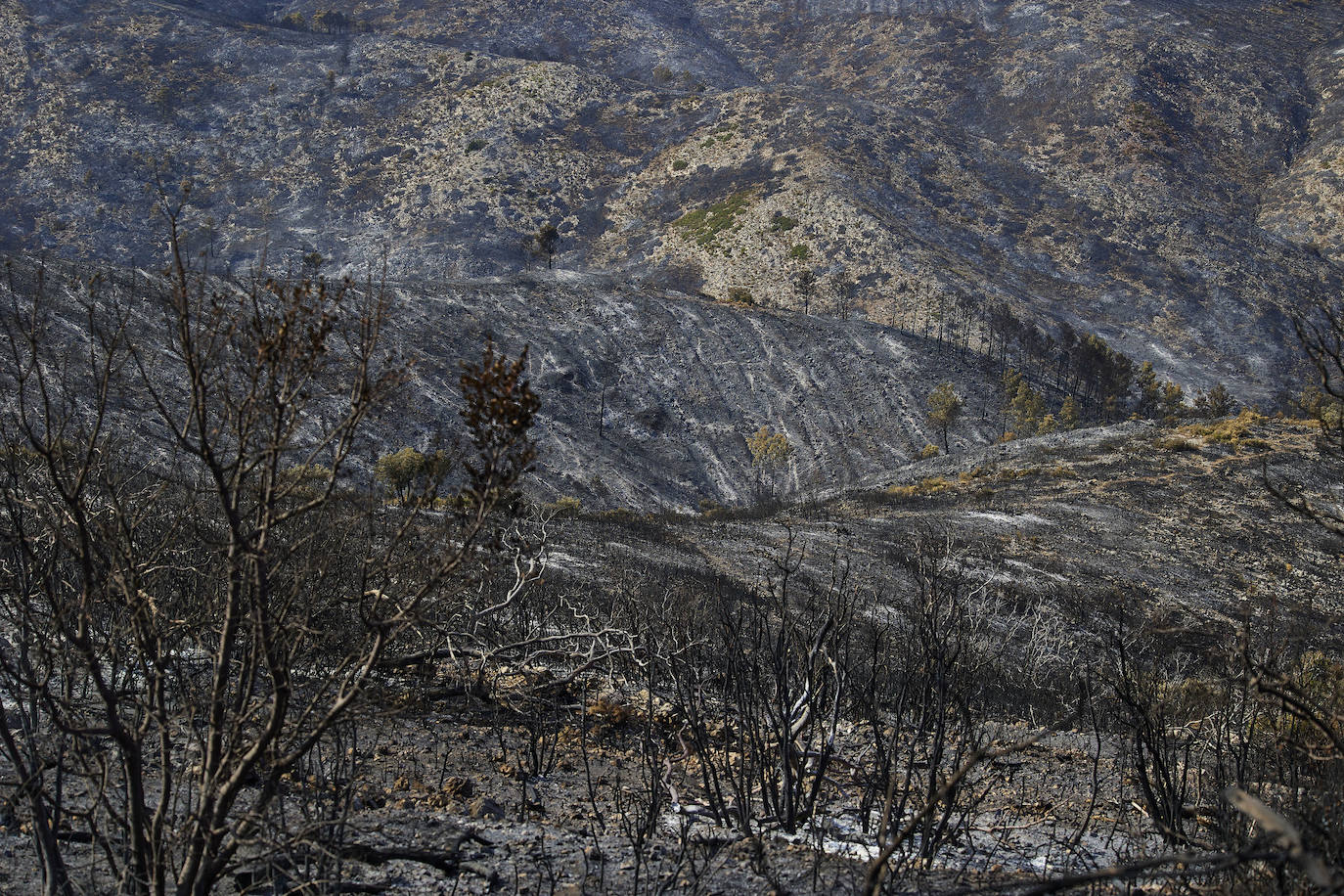 La reapertura de las carreteras permite regresar al santuario de Altura.