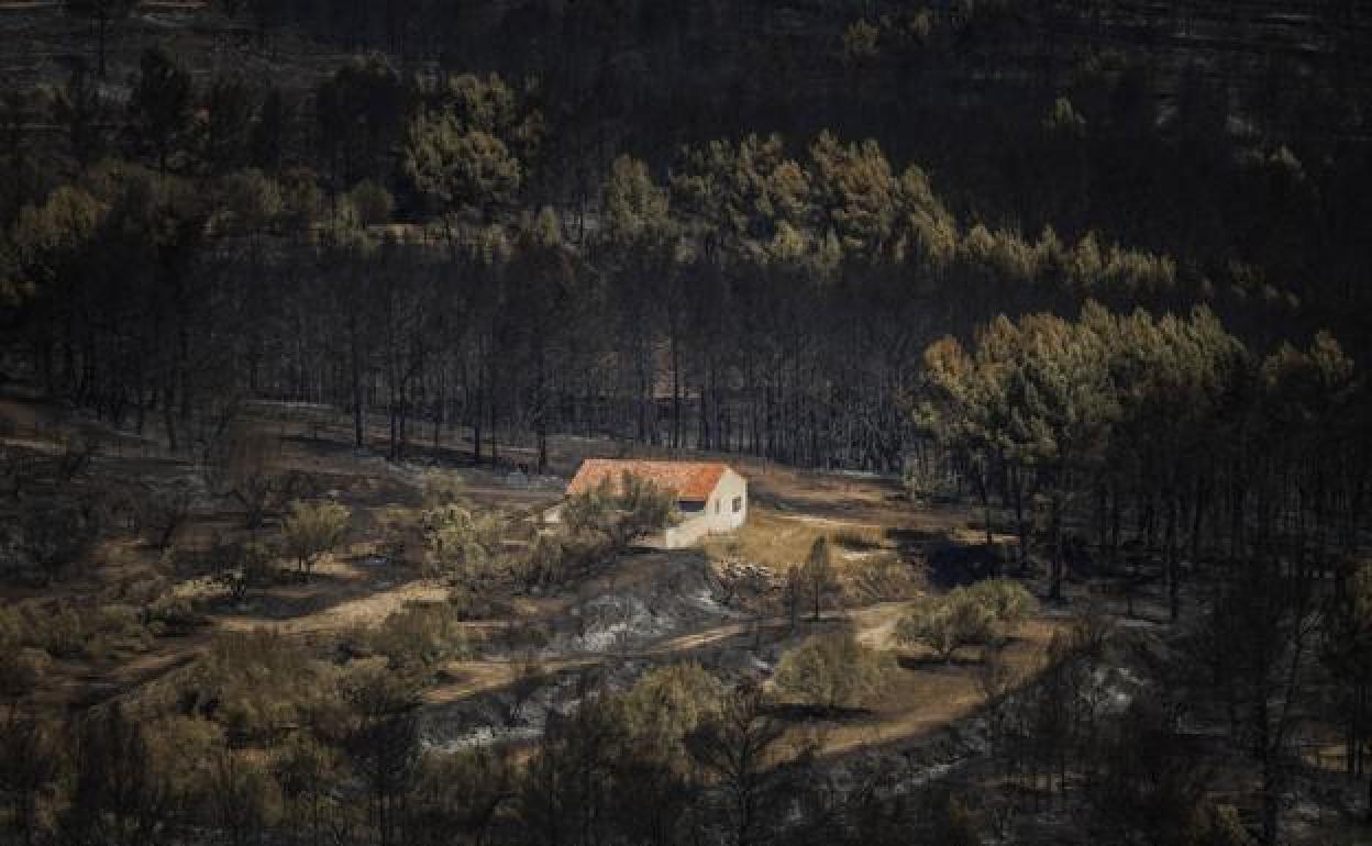 Incendio en Bejís | DIRECTO | Pedro Sánchez visita las zonas afectadas por el incendio de Bejís