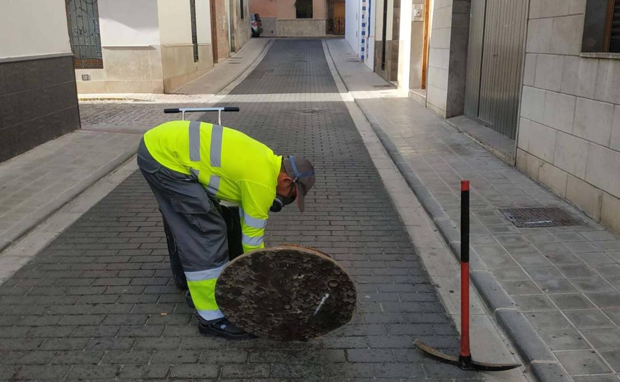 Sagunto lucha contra las ratas y los insectos