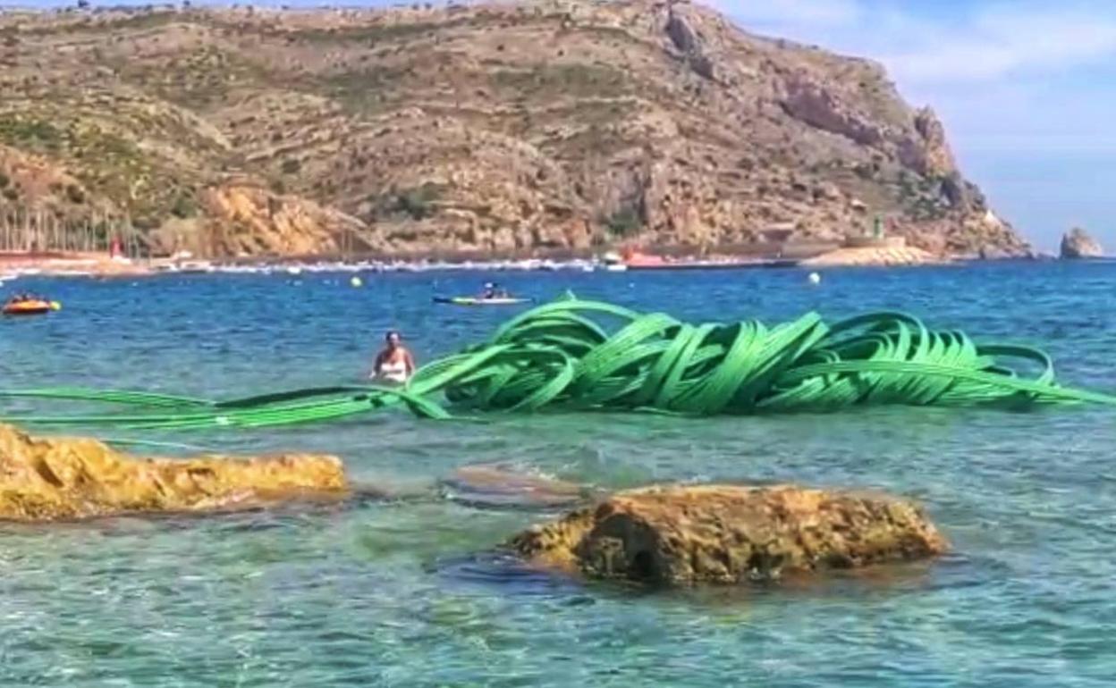 El cable en plena reserva marina del Cap de Sant Antoni. 