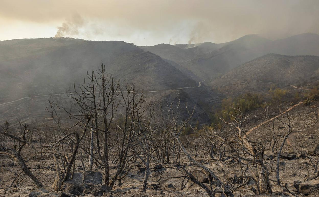 Montes arrasados por el incendio de Bejís. 