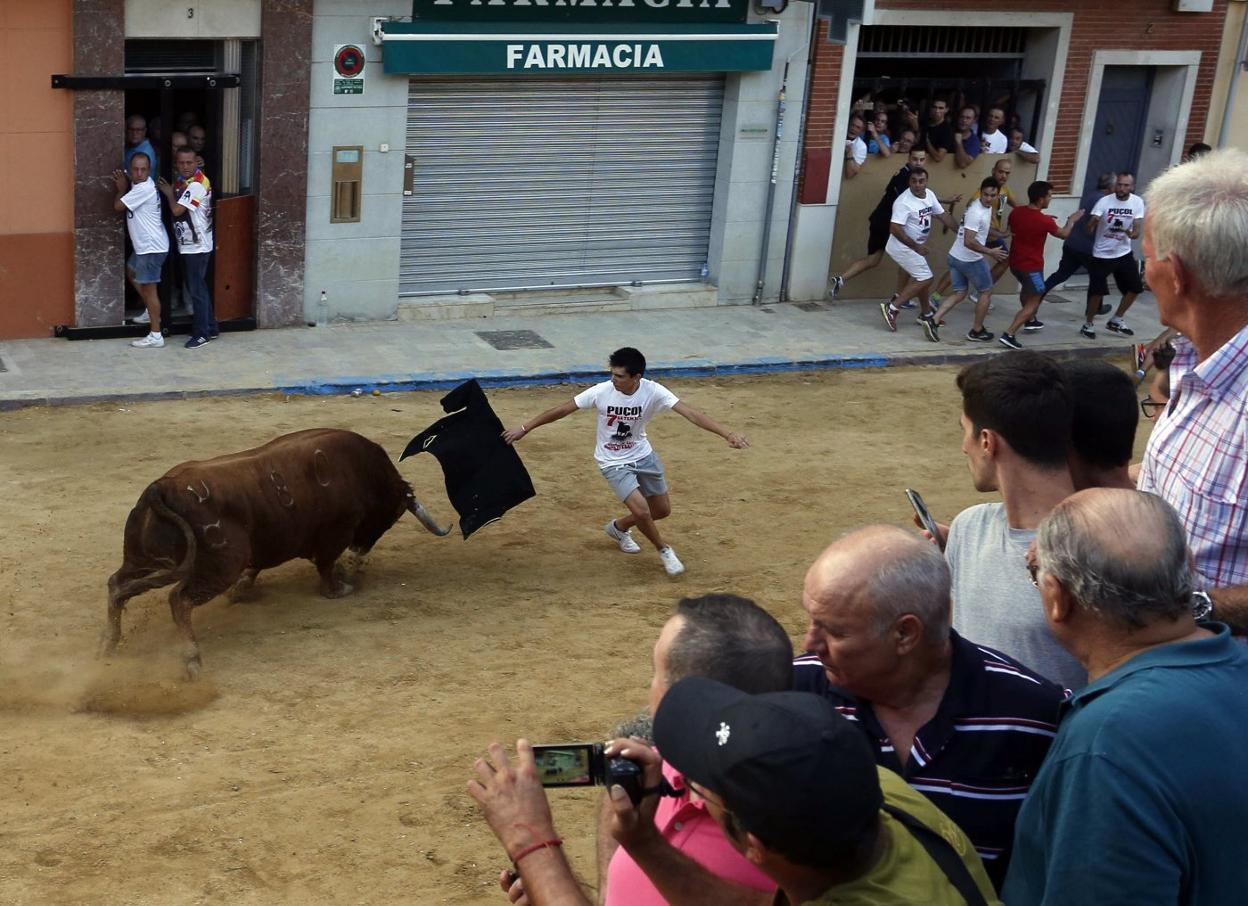 Un evento de bous al carrer en la provincia de Valencia. lp