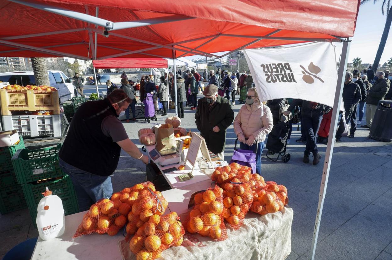 Puesto de un mercadillo de agricultores junto a las torres de Serranos. irene marsilla