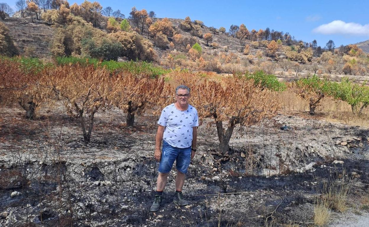 José Vicente, uno de los agricultores de la Vall d'Alcalà junto a uno de sus campos afectados por el fuego. 