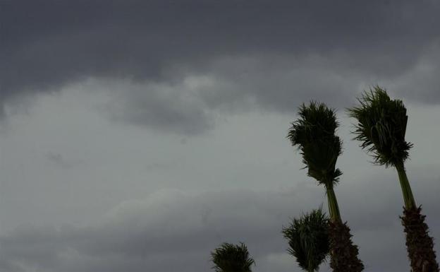 Dónde va a llover hoy: Aemet activa el aviso naranja por tormentas de 40 l/m2 en una hora y granizo grande