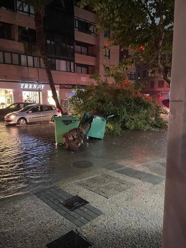 Fotos: Efectos del temporal de lluvia y viento a su paso por Xàtiva