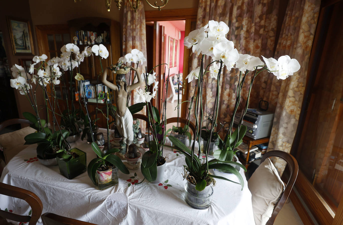 Las orquídeas son una de las flores favoritas de Marisa, que las tiene en una mesa del salón.