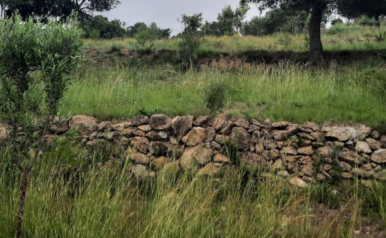 Muros de piedra seca de Benitatxell. 