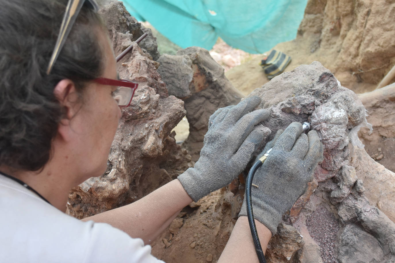 Fotos: El accidental hallazgo fósil del dinosaurio más grande en Europa