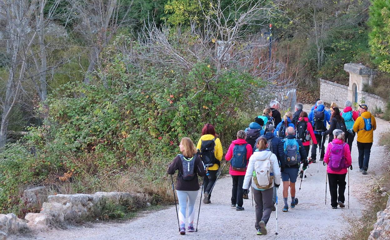 Senderistas camino a la Serreta de Alcoi.  