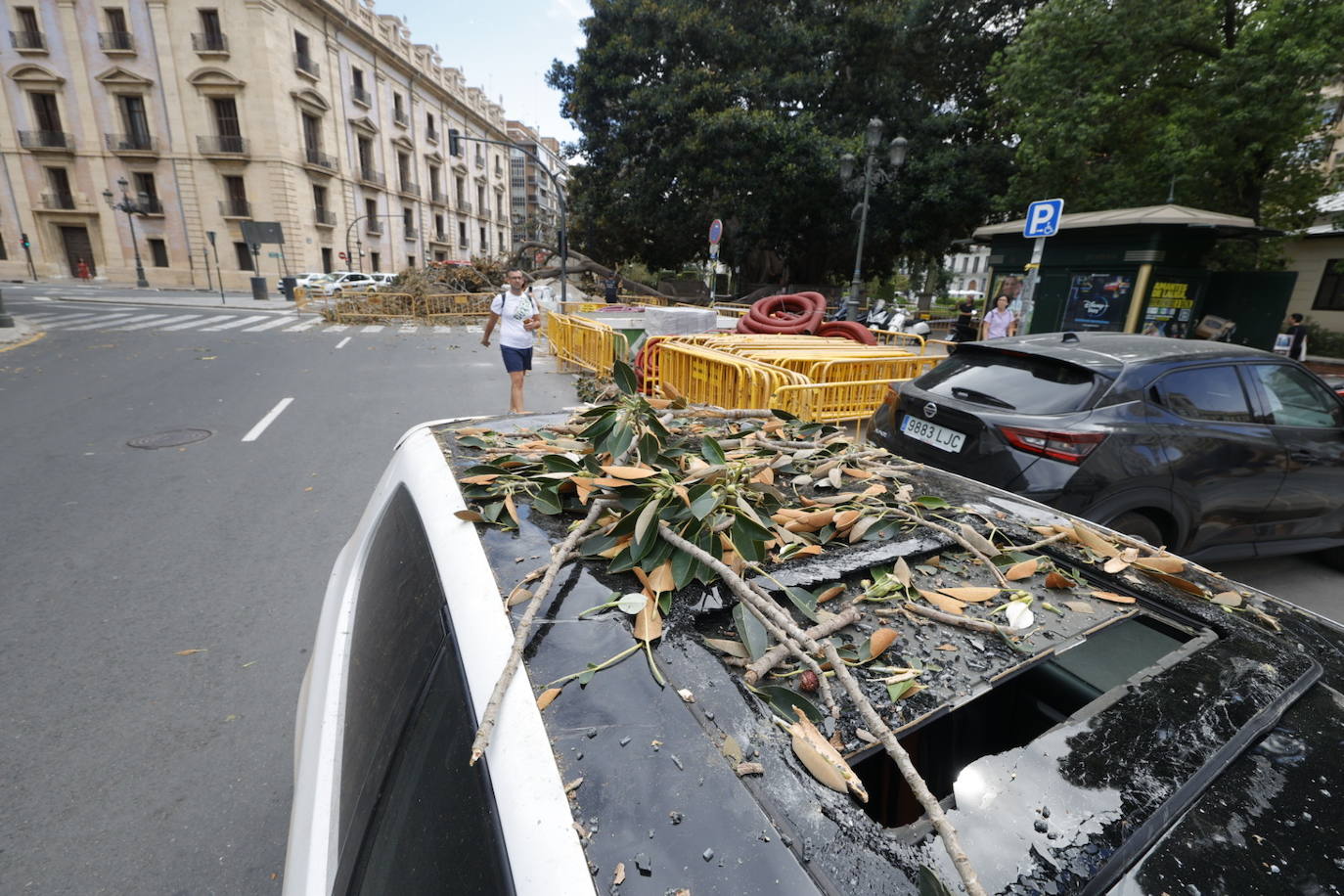 Estos son los desperfectos tras la caída del ficus