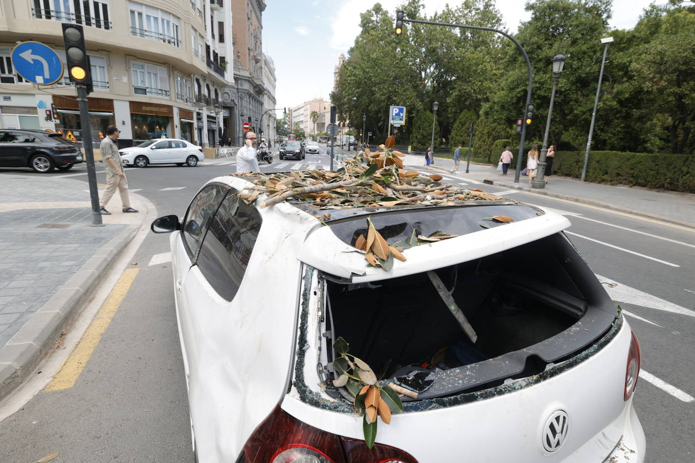 Estos son los desperfectos tras la caída del ficus