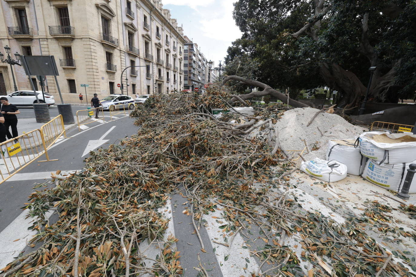 Estos son los desperfectos tras la caída del ficus