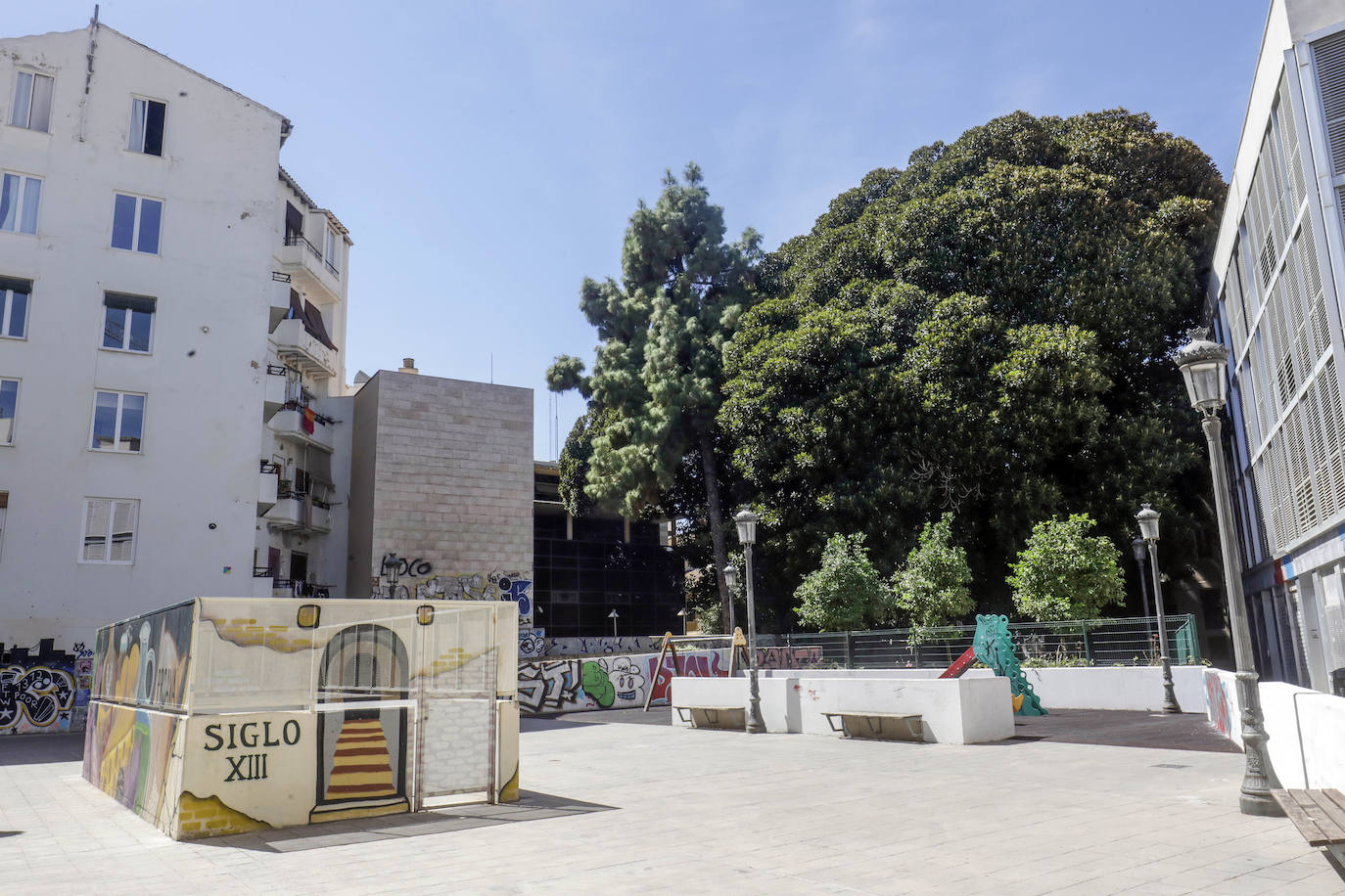 Fotos: Árboles monumentales de Valencia que pasan por el quirófano