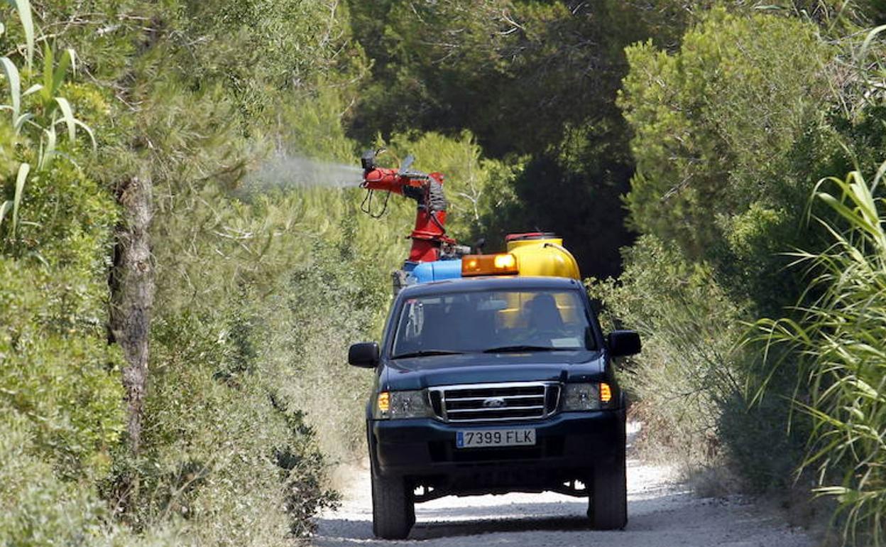 Fumigación en la Devesa de El Saler. 