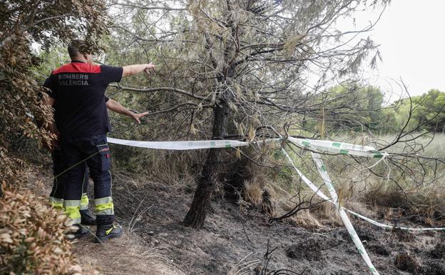 Fuego en El Saler Valencia | Segundo incendio en El Saler en menos de 24 horas