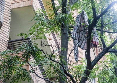 Imagen secundaria 1 - Ramas de melias en el barrio de Patraix, en la calle Enrique Granados y coche cubierto por un árbol en San Isidro. 