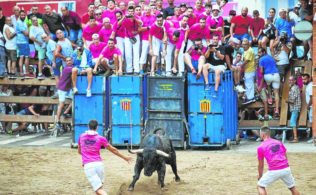 Uno de los festejos taurinos que se celebran en La Pobla de Farnals. 