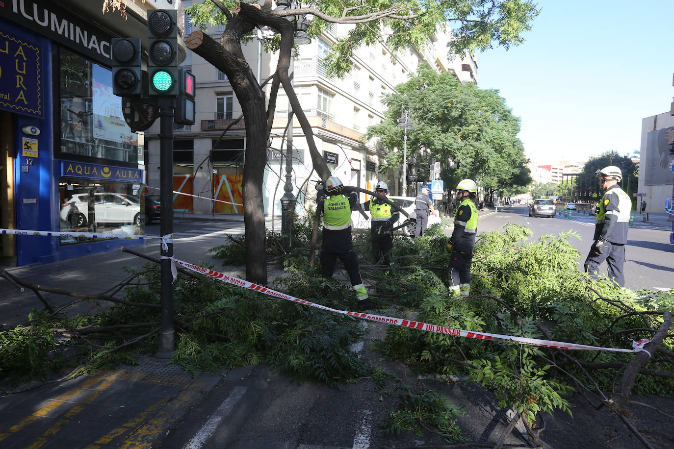 Las ramas han acabado sobre el carril bici. 